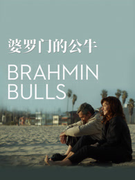 婆罗门的公牛