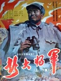彭大将军（下）