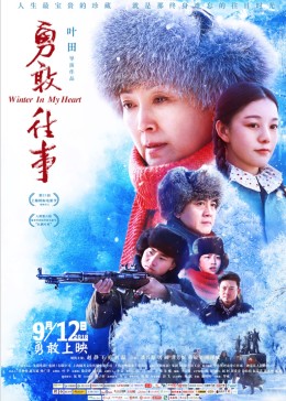 勇敢往事-无障碍版
