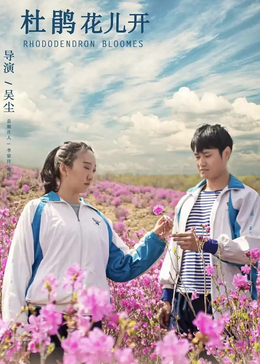 杜鹃花儿开