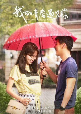 我的青春遇见你[DVD版]