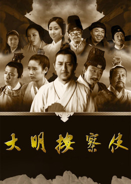 大明按察使 DVD版