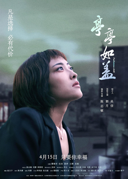 亭亭如盖