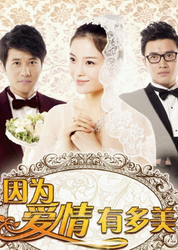 因为爱情有多美[DVD版]