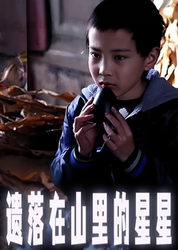 遗落在山里的星星